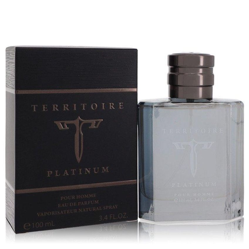 Perfume Masculina Territoire Platinum Yzy Perfume 100 Ml Eau De Parfum - imagem 2