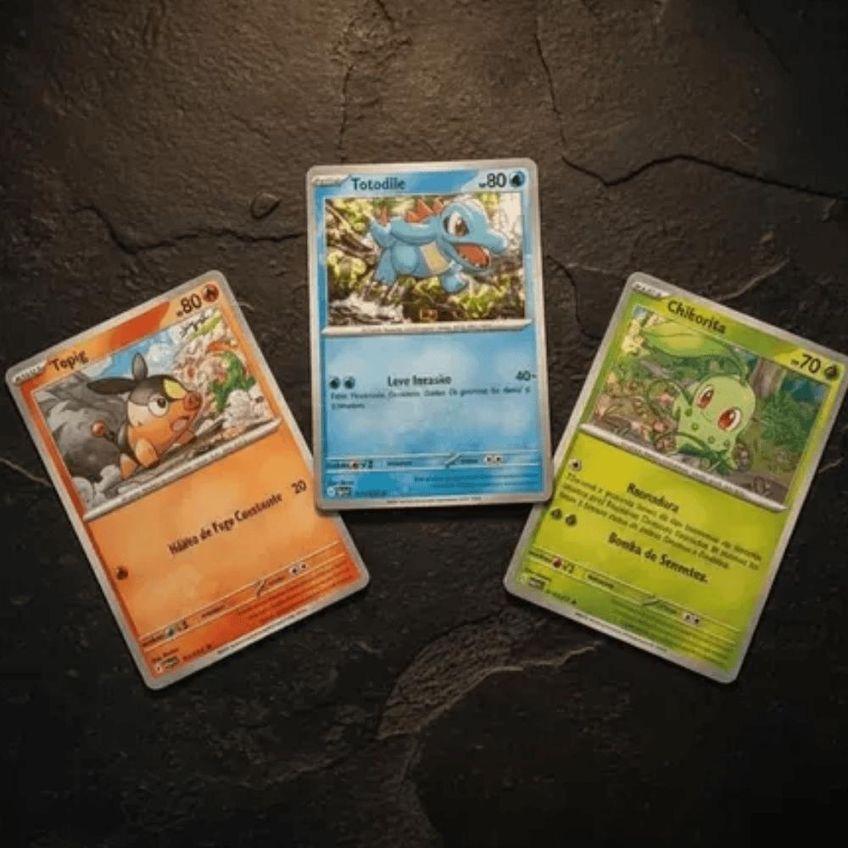 Box Pokémon Coleção Parceiros Iniciais Heróis Excelsos 51 Cartas - imagem 3