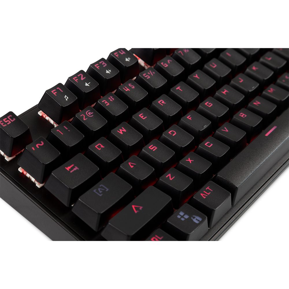 dazz gateron red