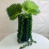 Vaso de cerâmica grande luxuoso preto com planta caída