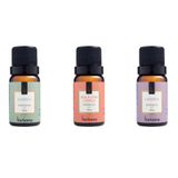 Essencias Bamboo - Lavanda - Maça Com Canela - 3 Unidades