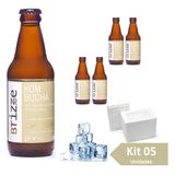 Kombucha Bebida Natural BAUNILHA e PIMENTA ROSA 300ml - Kit 05 Unidades