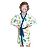 Roupão Infantil Felpudo Dinossauros Lepper Unica M