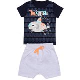 Kit Conjunto Infantil Curto Menino Camiseta e Shorts Moletinho