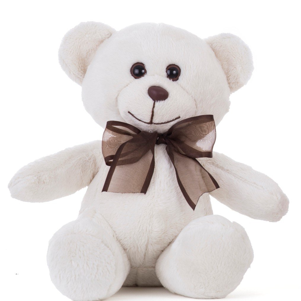 Urso de Pelúcia 30 cm - Xande Pêssego