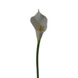 Kit 6 flores artificiais copo de leite branco