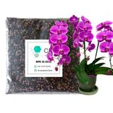 Fertilizante Adubo Para Orquídea Npk 10 10 10 - 3kg