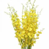 Orquídeas Chuva De Ouro 10 Galhos Grandes Artificial Flores