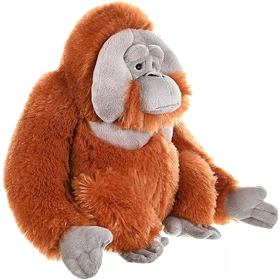 Orangutan clearance cuddly toy