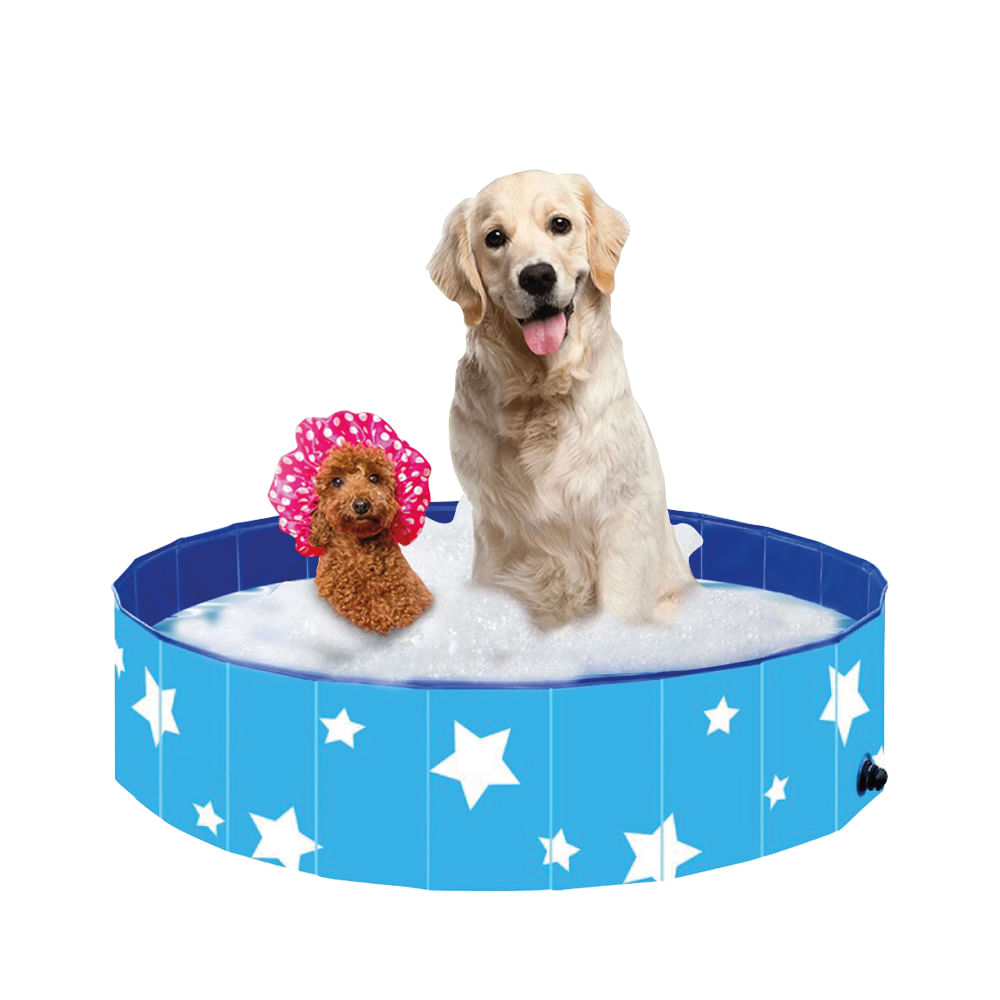 Piscina Para Cachorro Pets Dobrável 80 Cm X 20 Cm Vg+