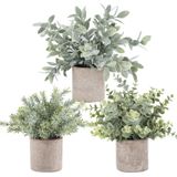 Der Rose 3 Pacote Mini Vasos Plantas Falsas Plantas De Eucalipto Plástico Artificial Para Decoração De Quarto De Home Office