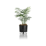 Vaso Autoirrigável Raiz Médio Preto Para Plantas - 16 Cm X 14,3 Cm