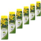 Sabonete Intimo YLANG YLANG Apinil 210ml - Kit 06 Unidades