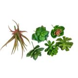 Kit Suculenta 6 Peças Planta Artificial Permanente Flor P