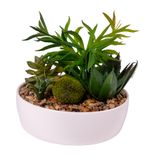 Arranjo Permanente Suculenta Plastico Vaso Ceramica Vizapi Garden 14x17cm Vizapi