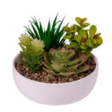 Arranjo Permanente Suculenta Plastico Vaso Ceramica Vizapi Garden 16x13cm Vizapi