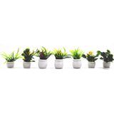 Togudot 7 Pcs Miniatura Vasos Plantas Dollhouse Mini Plant Bonsai Flor Modelo Pequena Falsa Decoração De Vegetação