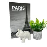 Kit Decoração Livro Paris + Vaso Artesanal + Elefante Branco