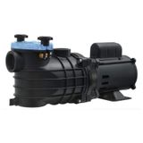 Motobomba para Piscina 3/4 CV Mono 127/220V EKO SCHNEIDER