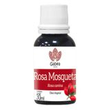 Óleo De Rosa Mosqueta 30ml - Gabea