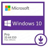 Windows 10 Professional - Esd