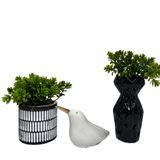 Kit Decoração Vaso Artesanal + Vaso Preto + Pássaro Branco