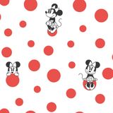 Papel De Parede Disney Minnie Bolas - Opções De Cores