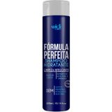 Formula Perfeita Shampoo Hidratante 300 Ml