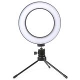 Iluminador De Led Com Tripe Ring Light Usb 16cm 3500k 5500k