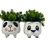 Conjunto Decorativo Cachepot Urso Panda De Cerâmica Com Pé