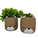 Conjunto Decoração Cachepot Marrom De Cerâmica Rosto Urso