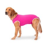 Roupa Cirúrgica Confortpet Regular Macho E Fêmea Rosa Para Cães - Tamanho 0