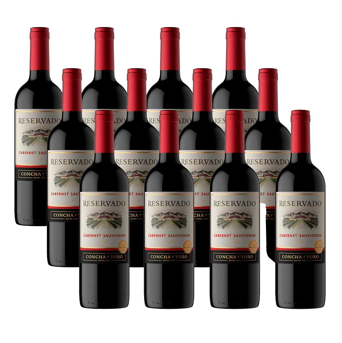 kit-vinho-tinto-chileno-concha-y-toro-reservado-cabernet-sauvignon-com-12-unidades-de-750ml-1.jpg