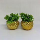 Conjunto de vasos de cerâmica dourados com planta