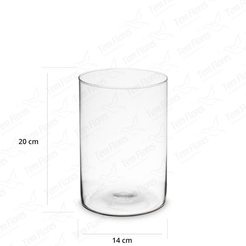 3 Pçs De Vaso De Vidro Para Decoração Tubo De Vidro 20x15