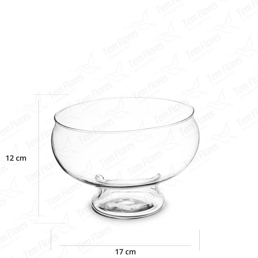 2 Pçs De Vaso De Vidro Para Decoração Buzios Candy 12x17