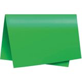 Papel Cartolina Dupla Face Color SET 47,5X66CM Verde