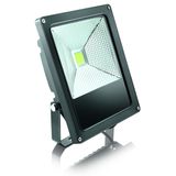 Refletor Power Led 30W Preto sem sensor bivolt - ELGIN