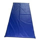 Colchonetes Ginástica, Academia E Yoga com Costura Central - 100 X 60 X 3 - Orthovida - Azul