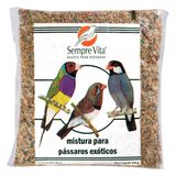 Racao Para Passaros Exoticos Danreal 500g