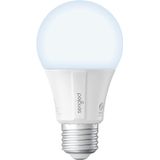 Lâmpada Alexa Sengled, Lâmpada Inteligente Que Funciona Com Alexa, Google Home, Lâmpada Led Inteligente 800lm Luz Do Dia, Lâmpada Inteligente 60w Equ