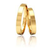 Par De Alianças De Casamento 3 Mm Ouro 18k -veneza