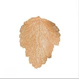 Lugar Americano Pine Leaf Dourado 57x36cm - Mimo