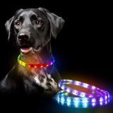 Coleira De Cão Led - Color Changeable Light Up Dog Collars, Impermeável Com Usb Recarregável, 10 Display Model Glow In The Dark, Fits For Small Mediu