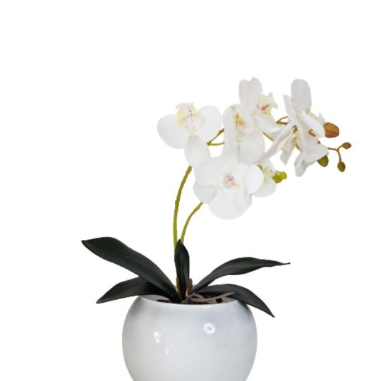 Arranjo Flores Orquídea Artificial Branca E Vaso - Branco - Carrefour