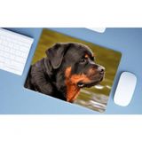 Mouse Pad Dog Pet Cachorro Cão, 40x30 Rotweiler, Fama De Mau