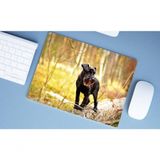 Mouse Pad 40x30 Schnauzer, No Fio Do Bigode