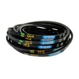 Kit Correia de Transmissão em V Lisa 3v800 Elite 3 unidades