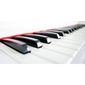 MV21216607_Albach-Pianos-Infantil--Branco-e-Luxo-e-Elegancia-AL8_2_Zoom