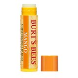 Burt&#39;s Bees 100% Natural Hidratante Batom Labial, Cera De Manga &amp; Extratos De Frutas - 12 Tubos